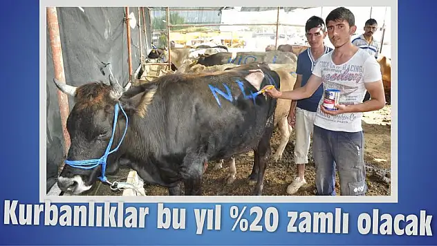 Kurbanlıklar bu yıl %20 zamlı olacak