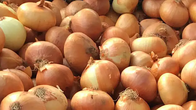 Kuru soğandaki gümrük vergisi sıfırlandı