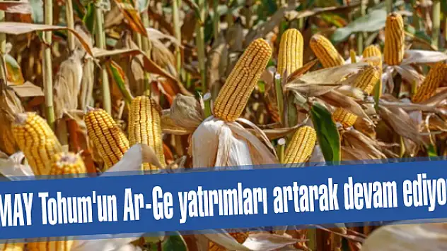 MAY Tohum’un Ar-Ge yatırımları artarak devam ediyor