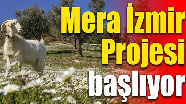 Mera alanları yeniden hayat bulacak