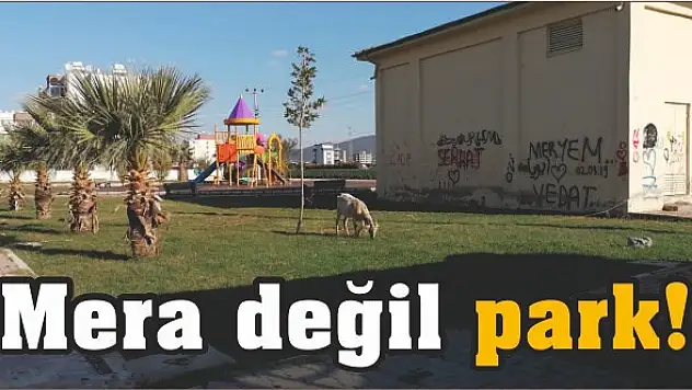 Mera değil park!