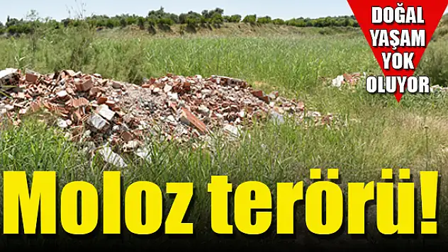 Molozlar doğaya atılmaya devam ediyor