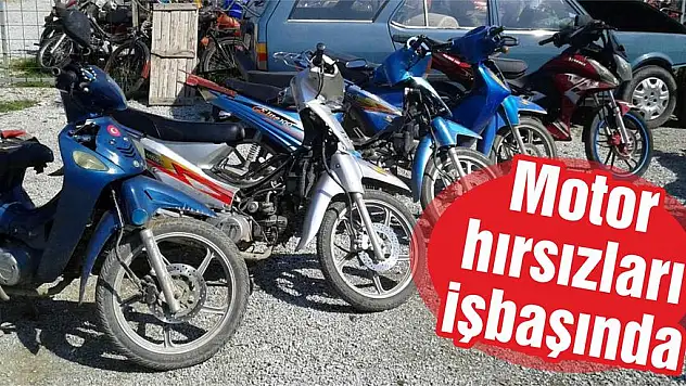 Motor hırsızları işbaşında