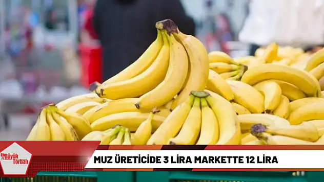 Muz üreticide 3 lira markette 12 lira
