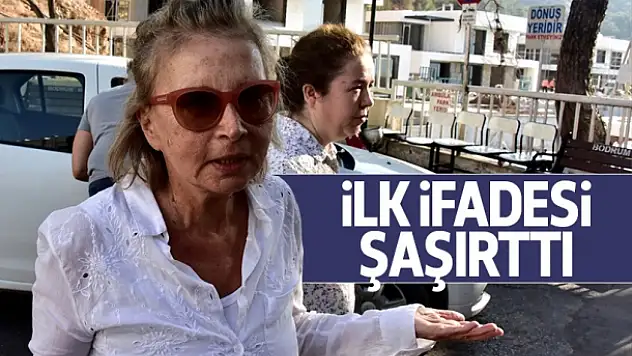 Nazlı Ilıcak’ın ifadesi ortaya çıktı