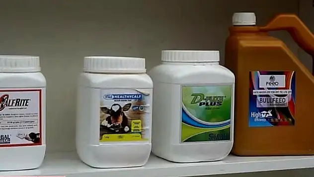 Ödemiş İdeal fuarın gözdesi oldu!