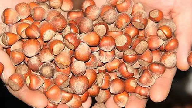 “Önceliğimiz Türk fındığı”