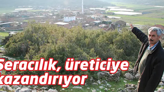 Organik gübre organik ürün