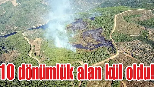 Orman yangınında mangal şüphesi!