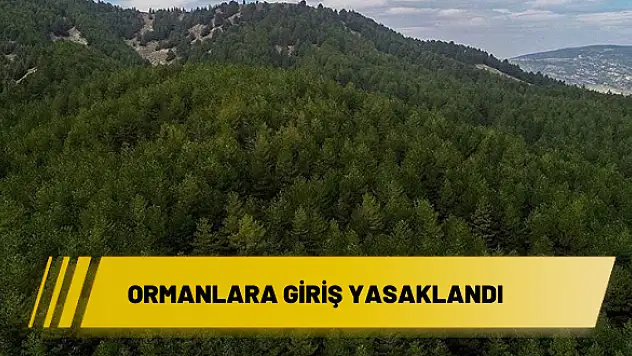 ORMANLARA GİRİŞ YASAKLANDI