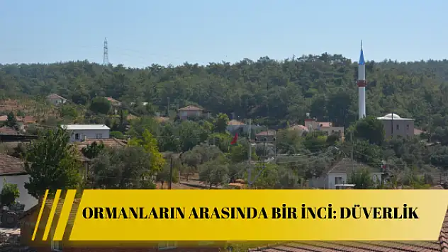 Ormanların arasında bir inci: Düverlik