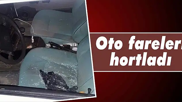 Oto fareleri hortladı