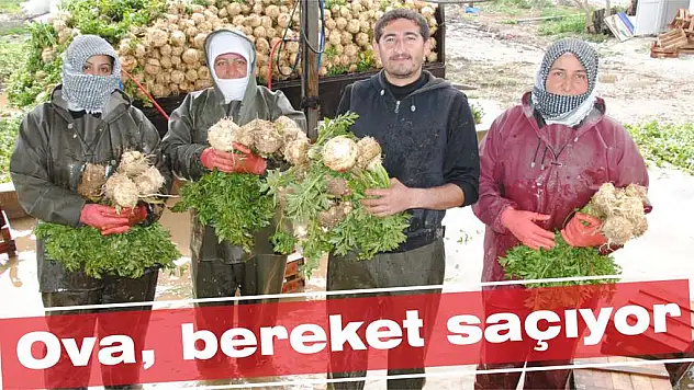 Ova, bereket saçıyor