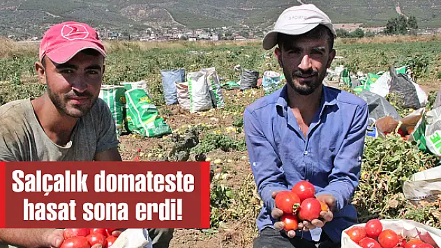 Ovada ürün kalmadı