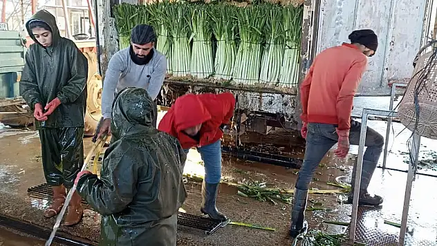 OVA'DAN ENKAZ BÖLGESİNE 'UMUT' KAMYONU