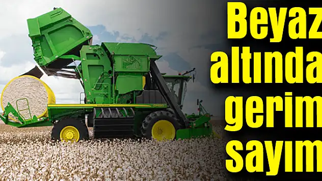 Pamuk hasadına sayılı günler kaldı