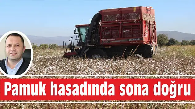 Pamuk hasadında sona doğru