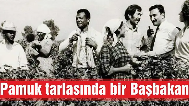 Pamuk tarlasında bir Başbakan