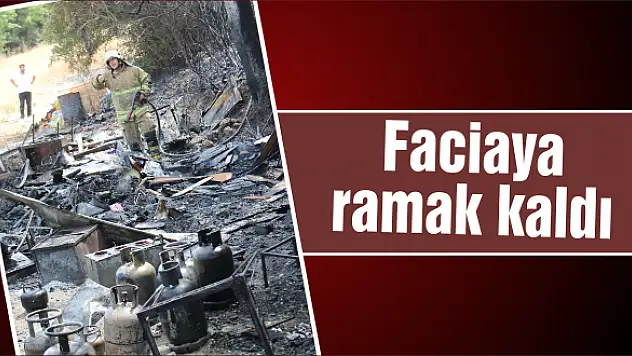 Pancar'da büyük panik