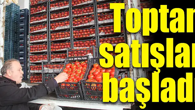 Pazar fiyatlarını düşürmesi bekleniyor