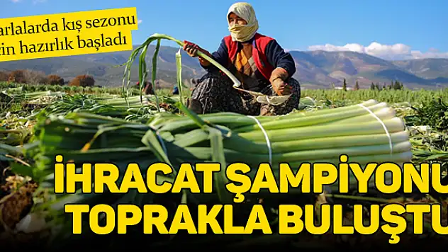 Pırasa ekimi başladı