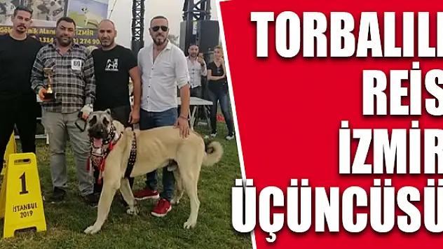 Reis, kendi kategorisinde birinci oldu