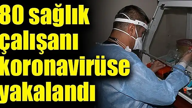 SAĞLIK ÇALIŞANLARININ KORONAVİRÜS RAPORU