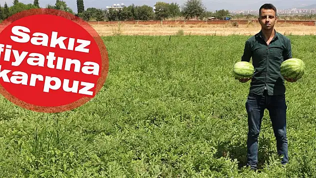 Sakız fiyatına karpuz