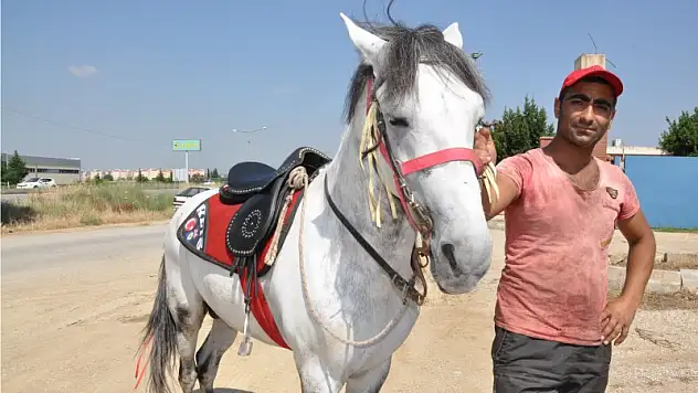 Şampiyon Reis üzümle besleniyor
