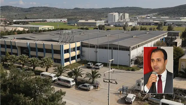 Şampiyonlar ligine 6 firma girdi