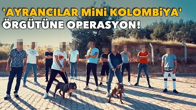 Sanatçı değiller ama klipleri var