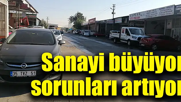 Sanayide büyümenin olumsuz yönleri