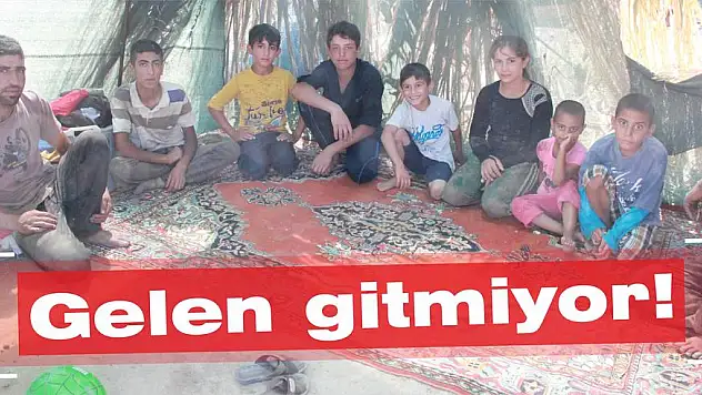 Sayıları 54 mahalleden fazla