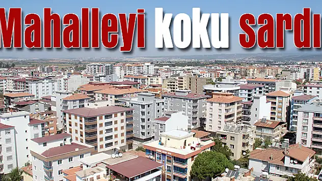 Sebebi bilinmeyen koku