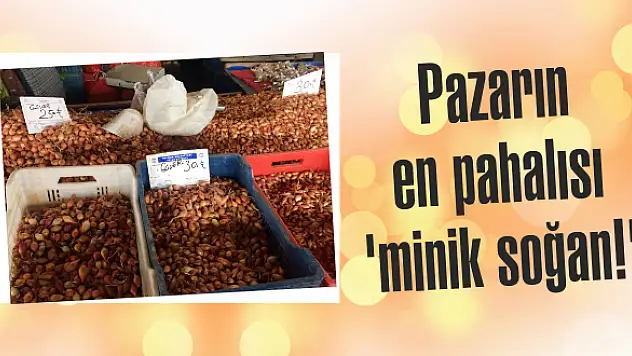 Sebze ve meyve ucuzladı