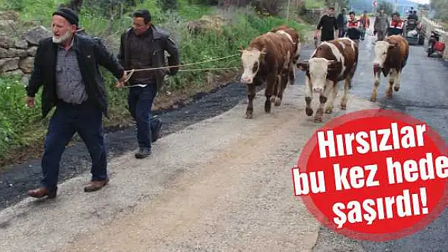 Şehit ailesi önce kahroldu, sonra sevindi…