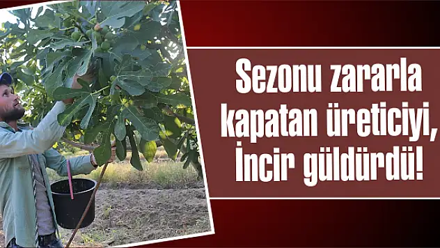Sezonu zararla kapatan üreticiyi, İncir güldürdü!