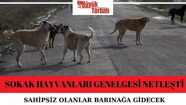 Sokak hayvanları genelgesi netleşti