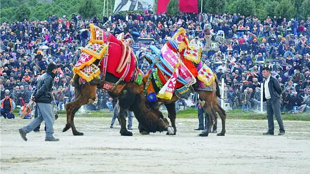 Söke'den Karamurat Tire'den Gökçen Efe