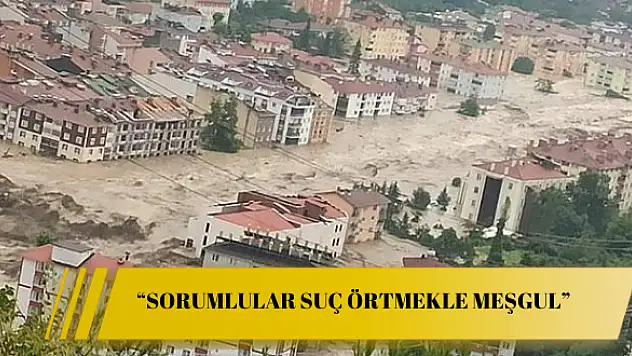 'Sorumlular suç örtmekle meşgul'