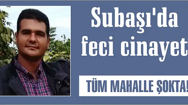 Subaşı'da feci cinayet