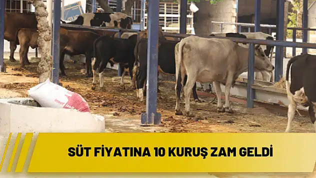 Süt fiyatına 10 kuruş zam geldi