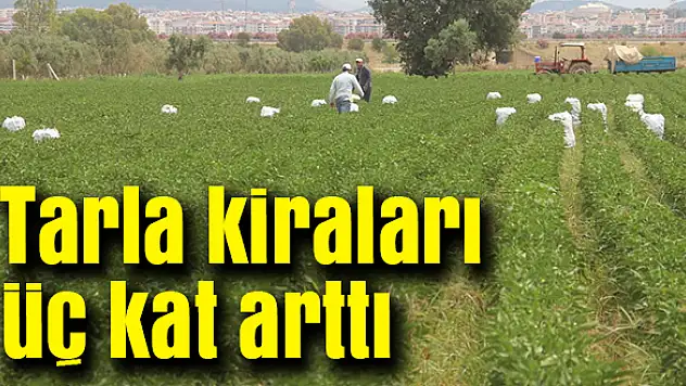 TALEP PATLAMASI YAŞANIYOR