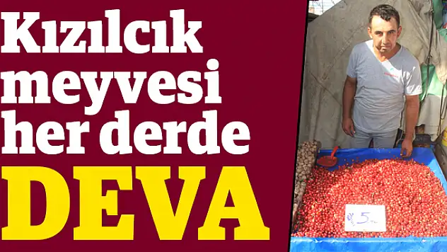 Tam bir şifa deposu