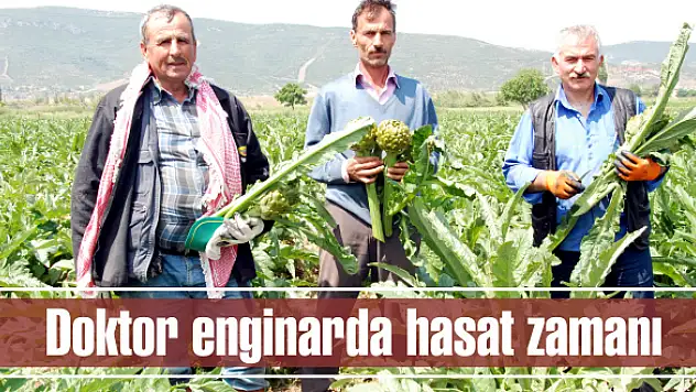 Tam bir şifa deposu