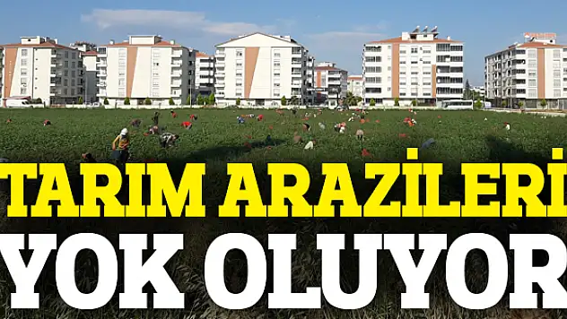 Tarım arazilerinde şehirleşme tehlikesi