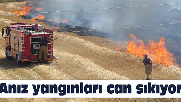 Tarlalar yakılıyor