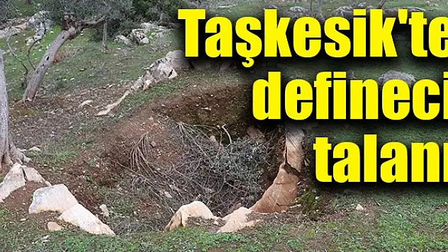 Taşkesik’te defineci talanı