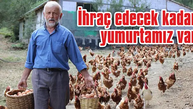 Tavuk çiftlikleri arttı