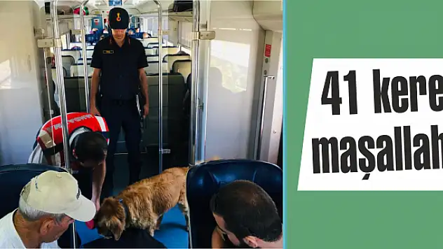 Torbacılara nefes aldırmıyorlar